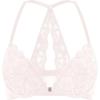 Rose White